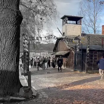 Entrée dans le camps d'Auschwitz Birkenau - Devoir de mémoire