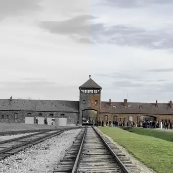Arrivée dans le camp de la mort d'Auschwitz Birkenau
