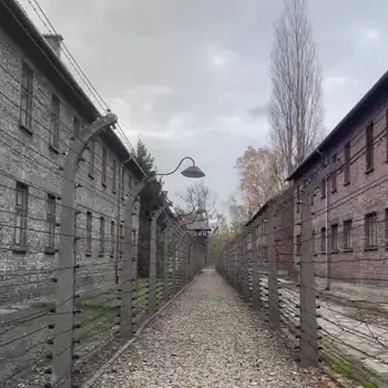 Passage des déportés du camp d'extermination d'Auschwitz Birkenau